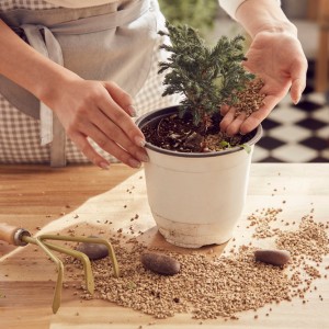 원예 힐링 프로그램 ‘초록 치유시간’ 이미지